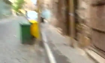 صور بنات تنك من خروف