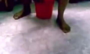 سكس إغتصاب في الحقل