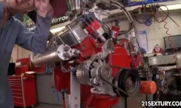 حيوانات تنك نسوان