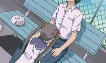 البوم المعلقة على سطح المدرسة