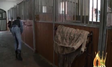 سكس سوداني ساعات