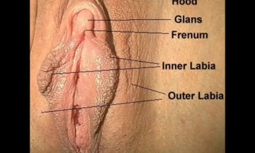 اكس ان اكس نيك الطيز لوط موفيز رجال شبة البنات