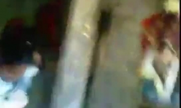 حيوانات عجل نيك بنت