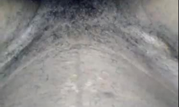 سكس اجنبي صافيناز