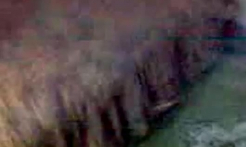 اقوى سكس مع حصان