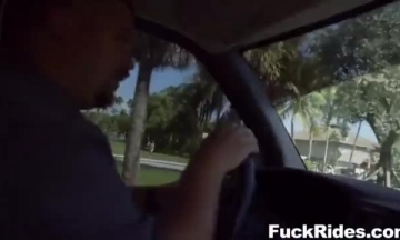 Xxxxx حماره حصان