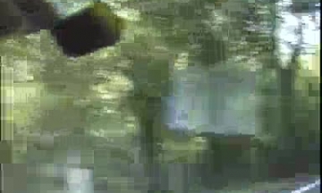 قصص سكس خالات